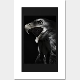 Eagle Out of Darkness Posters and Art